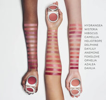 Load image into Gallery viewer, Rose Inc blush